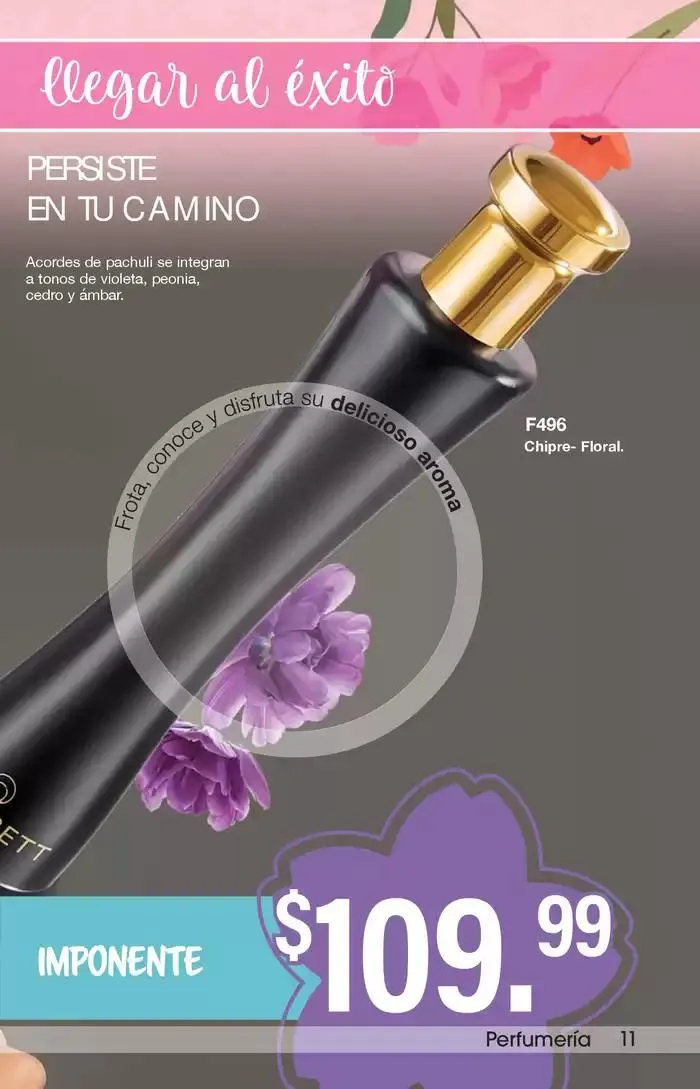 Catálogo de Arabela Campaña 05 10 de febrero al 20 de febrero 2025 - Pagina 11