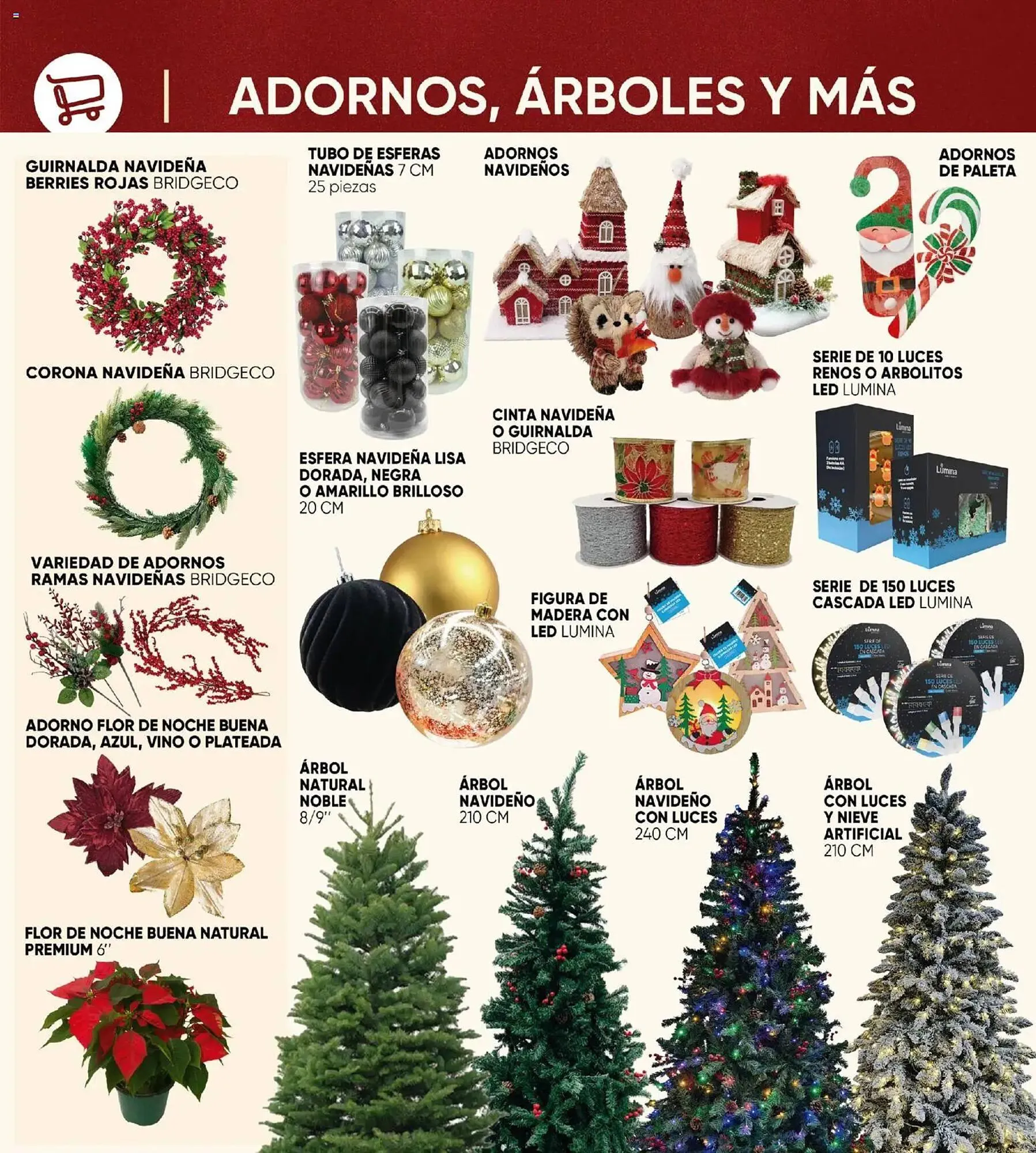 Catálogo de Folleto Calimax 7 de noviembre al 1 de enero 2026 - Pagina 6