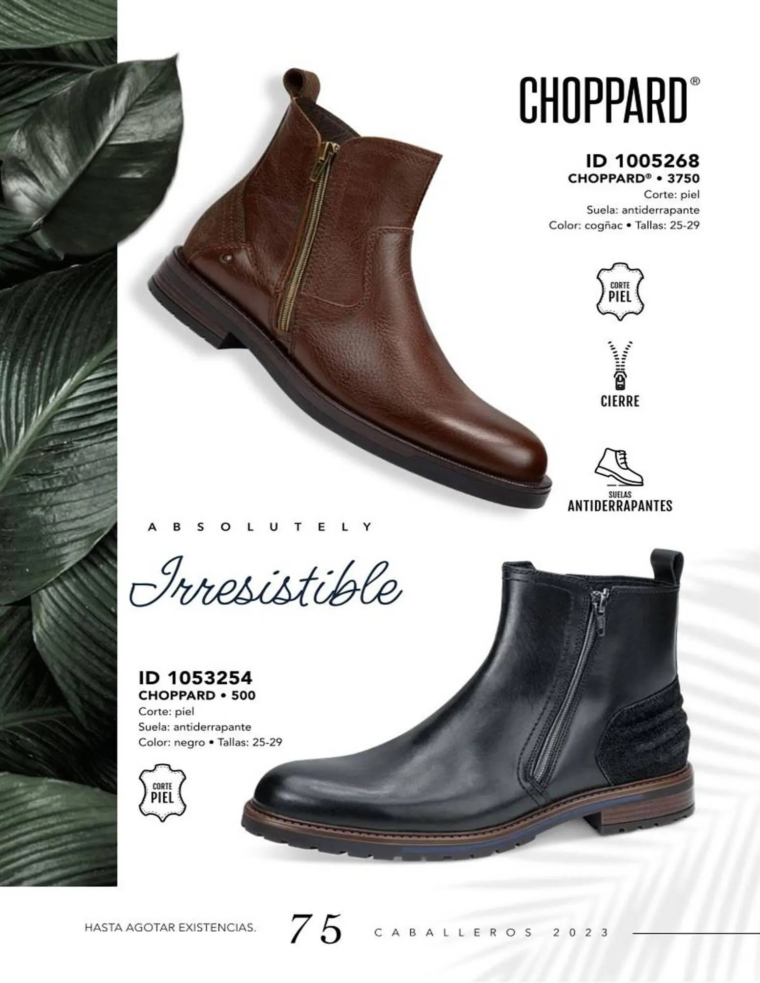 Catálogo de Catálogo Price Shoes 18 de diciembre al 31 de diciembre 2024 - Pagina 75