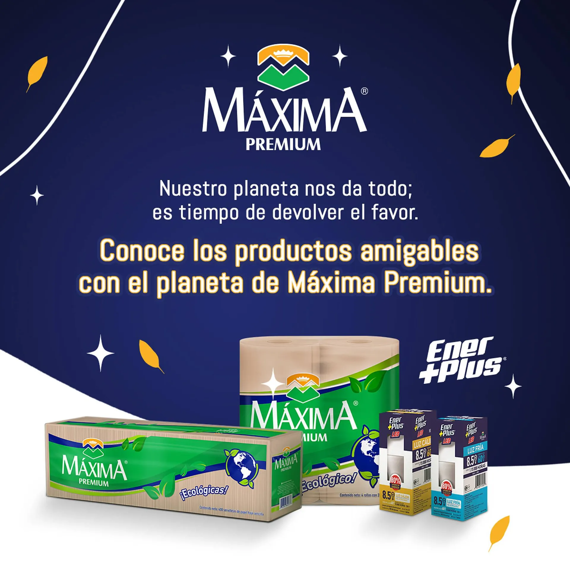 Catálogo de Catálogo Scorpion 22 de abril al 22 de abril 2024 - Pagina 2