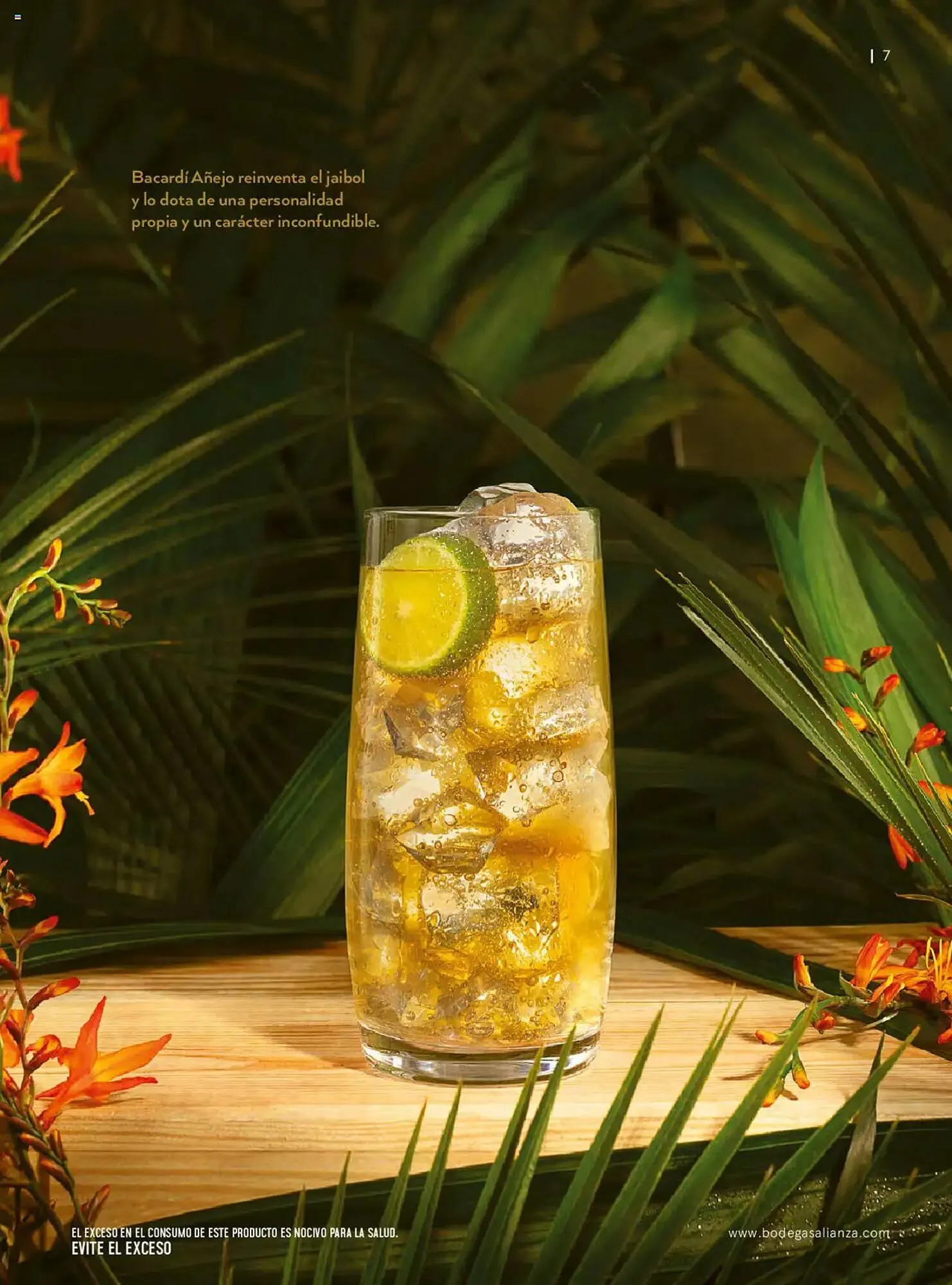 Catálogo de Catálogo Bodegas Alianza 14 de enero al 30 de marzo 2025 - Pagina 9