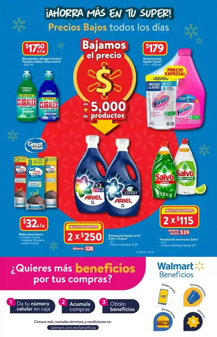 Catálogo de Marzo 1 Cuesta 27 de febrero al 19 de marzo 2025 - Pagina 17