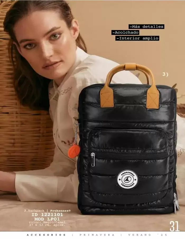 Catálogo de ACCESORIOS | PRI-VER | 2025 | 1E 1 de marzo al 30 de septiembre 2025 - Pagina 33