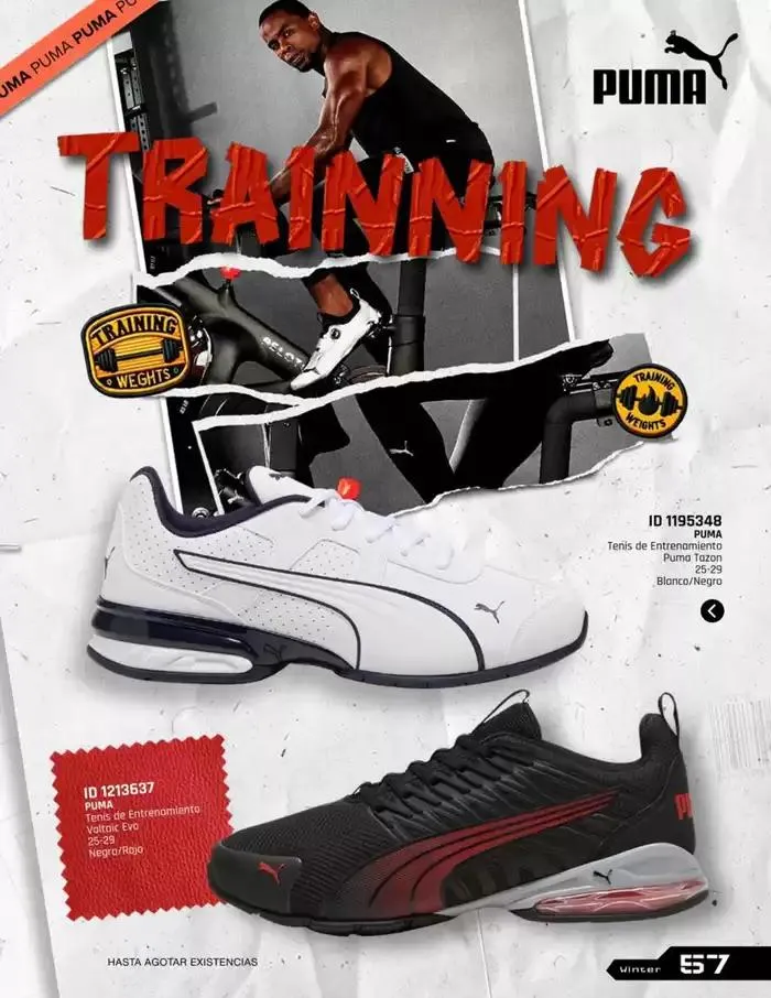 Catálogo de IMPORTADOS WINTER 11 de noviembre al 31 de enero 2025 - Pagina 57