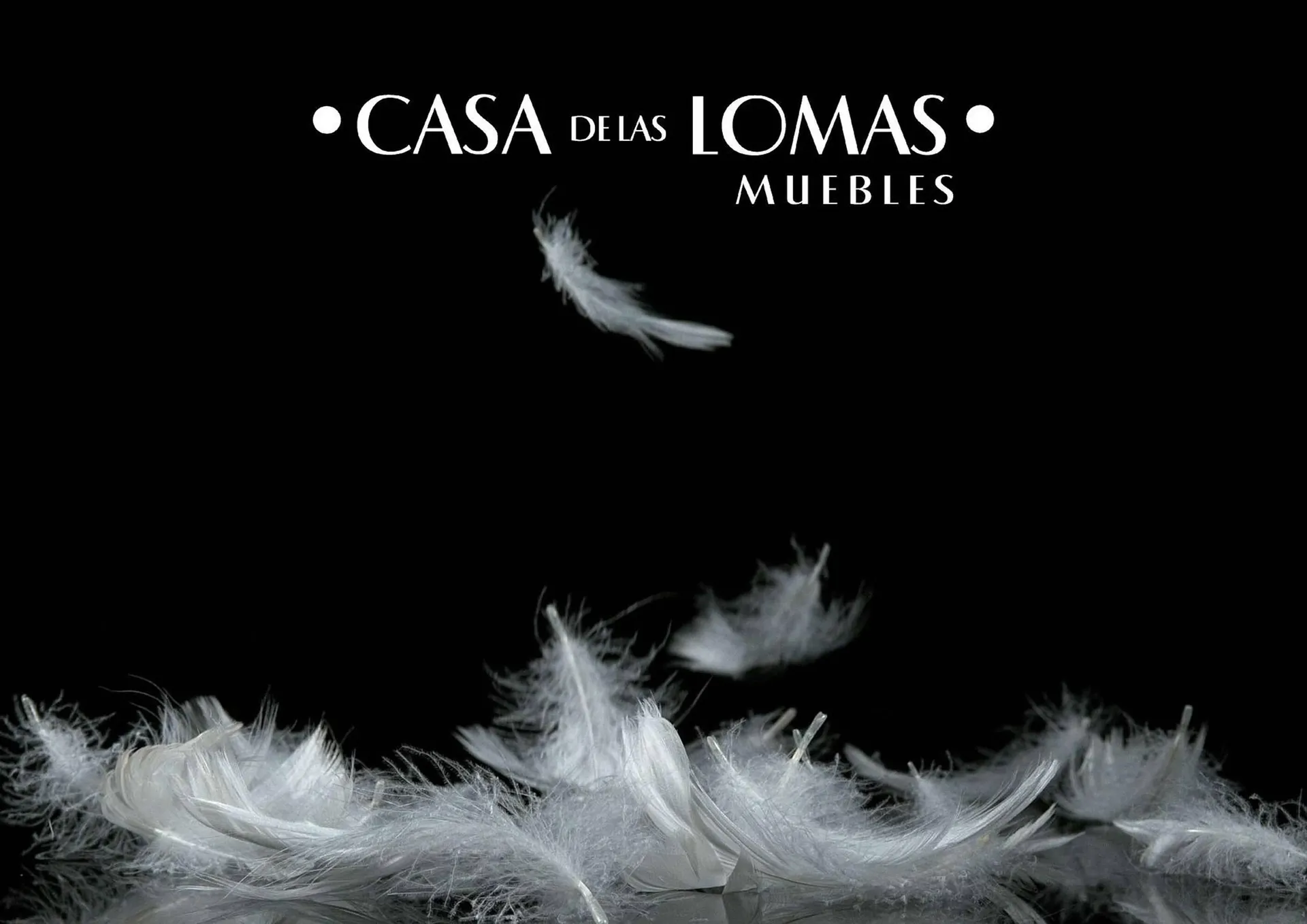 Catálogo de Catálogo Casa de las Lomas 30 de mayo al 31 de diciembre 2025 - Pagina 48