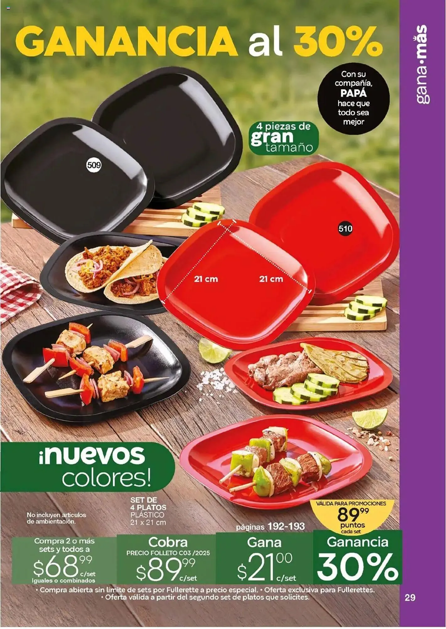 Catálogo de Catálogo Fuller 14 de mayo al 3 de junio 2025 - Pagina 29