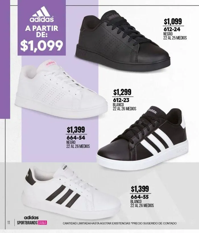 Catálogo de Catálogo Cklass Calzado Urban Invierno 2024 México 19 de septiembre al 31 de enero 2025 - Pagina 237