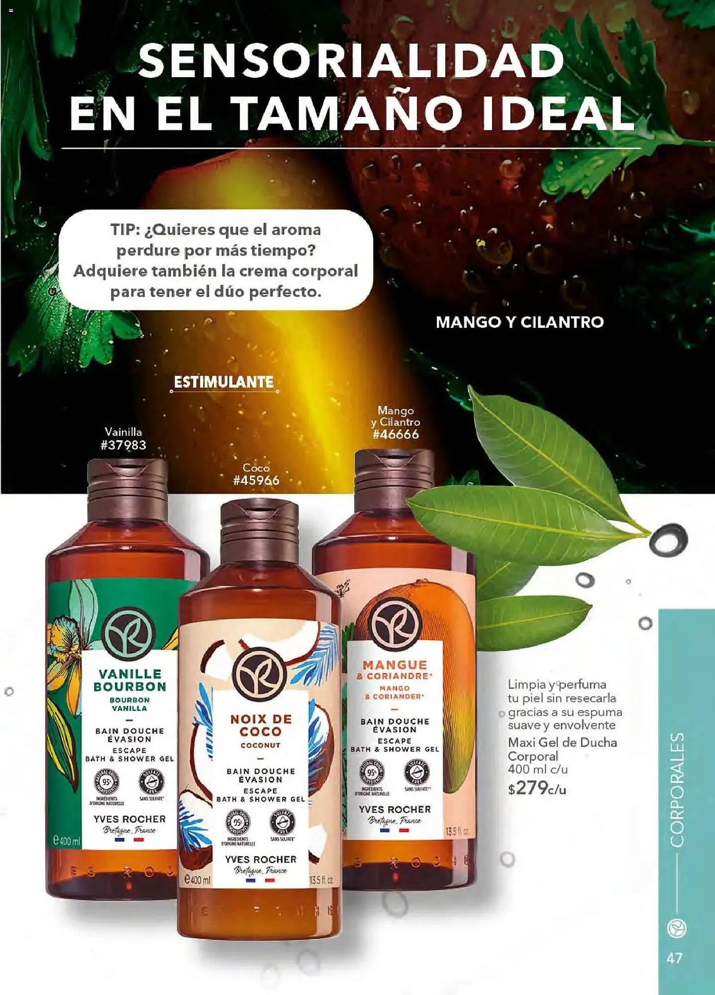 Catálogo de Catálogo Yves Rocher 24 de marzo al 15 de mayo 2026 - Pagina 47