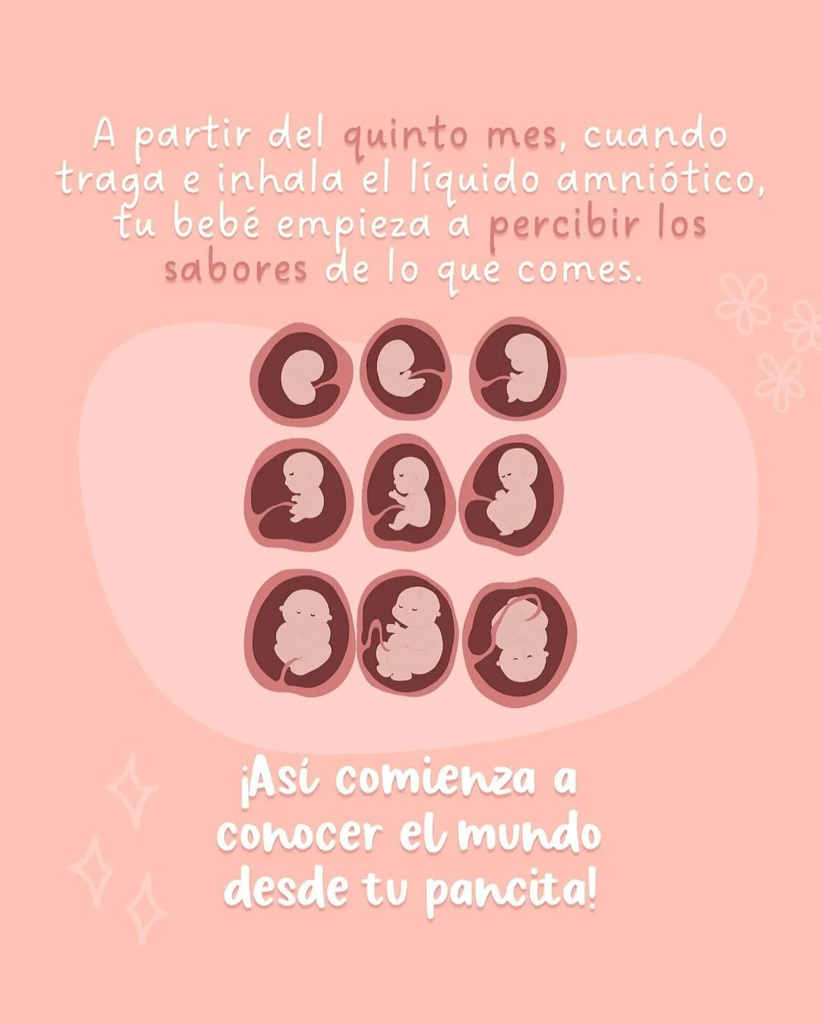 Catálogo de Catálogo Baby Mink 17 de julio al 18 de julio 2025 - Pagina 2