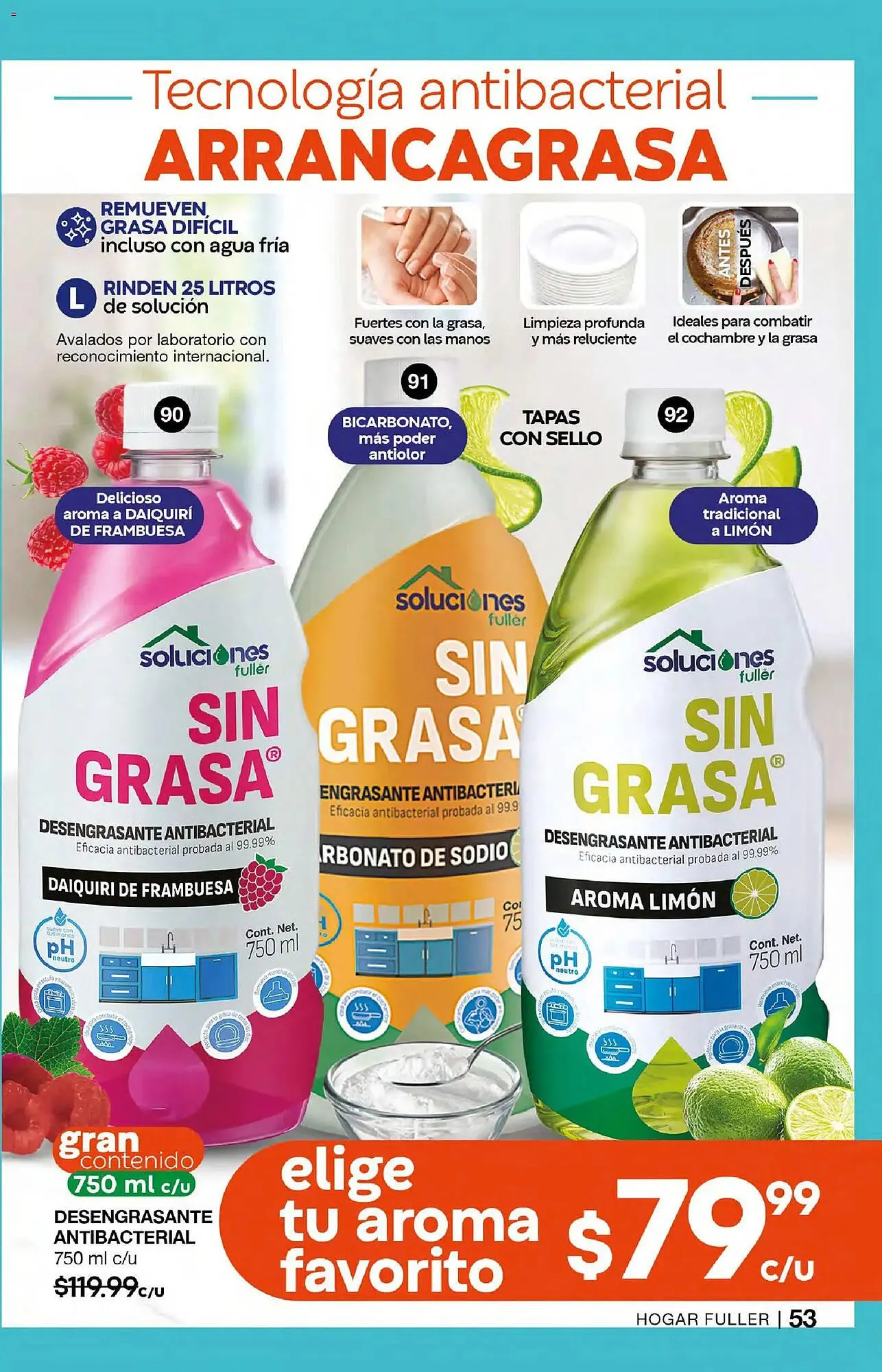 Catálogo de Catálogo Fuller 21 de enero al 10 de febrero 2026 - Pagina 53