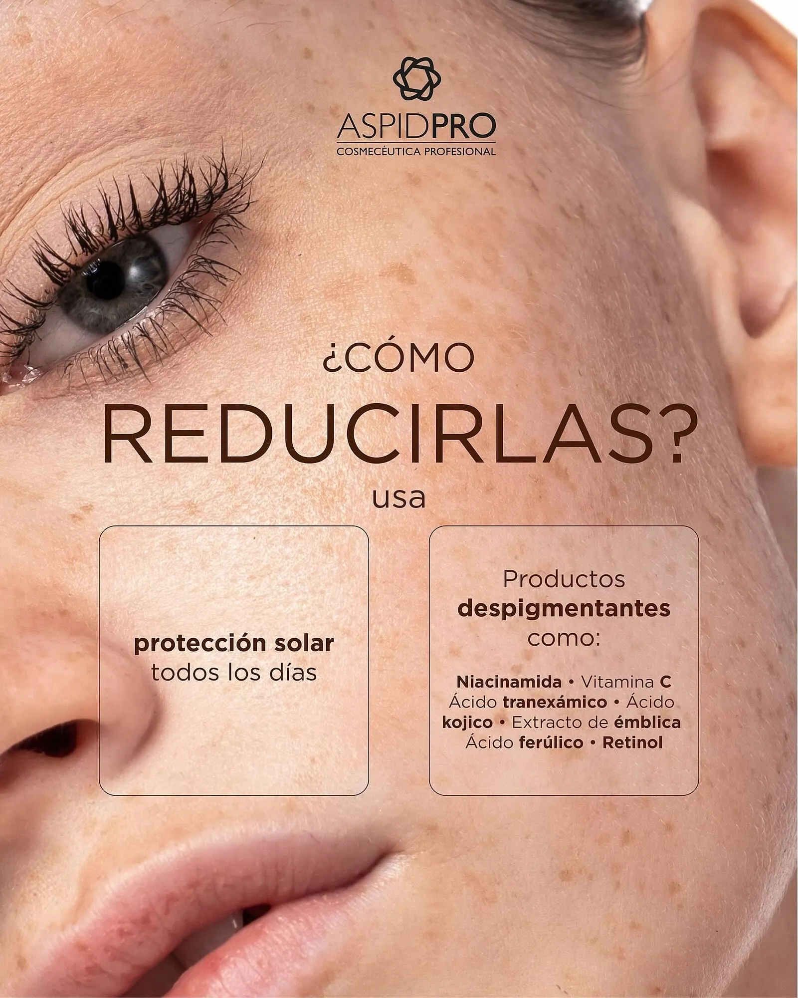 Catálogo de Catálogo AspidPro 22 de julio al 31 de julio 2025 - Pagina 2