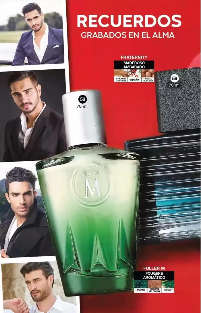 Catálogo de Fuller CAMPAÑA 19 27 de diciembre al 14 de enero 2025 - Pagina 91