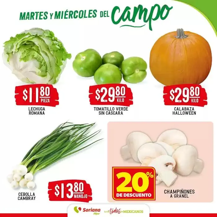 Catálogo de Martes y Miércoles del Campo 16 de octubre al 17 de octubre 2024 - Pagina 3