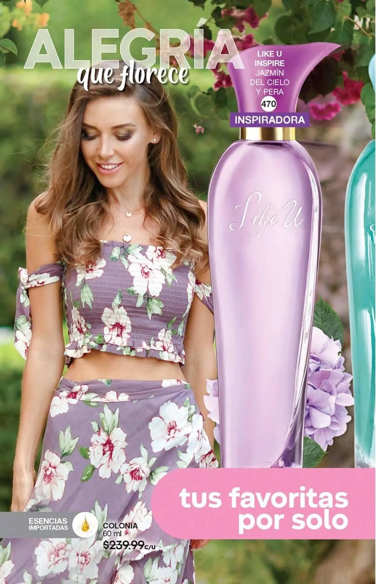 Catálogo de Catálogo Fuller 21 de agosto al 31 de octubre 2025 - Pagina 164