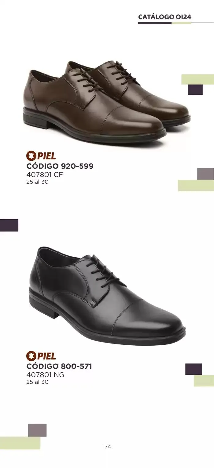 Catálogo de Pakar Flexi 23 de octubre al 31 de enero 2025 - Pagina 174