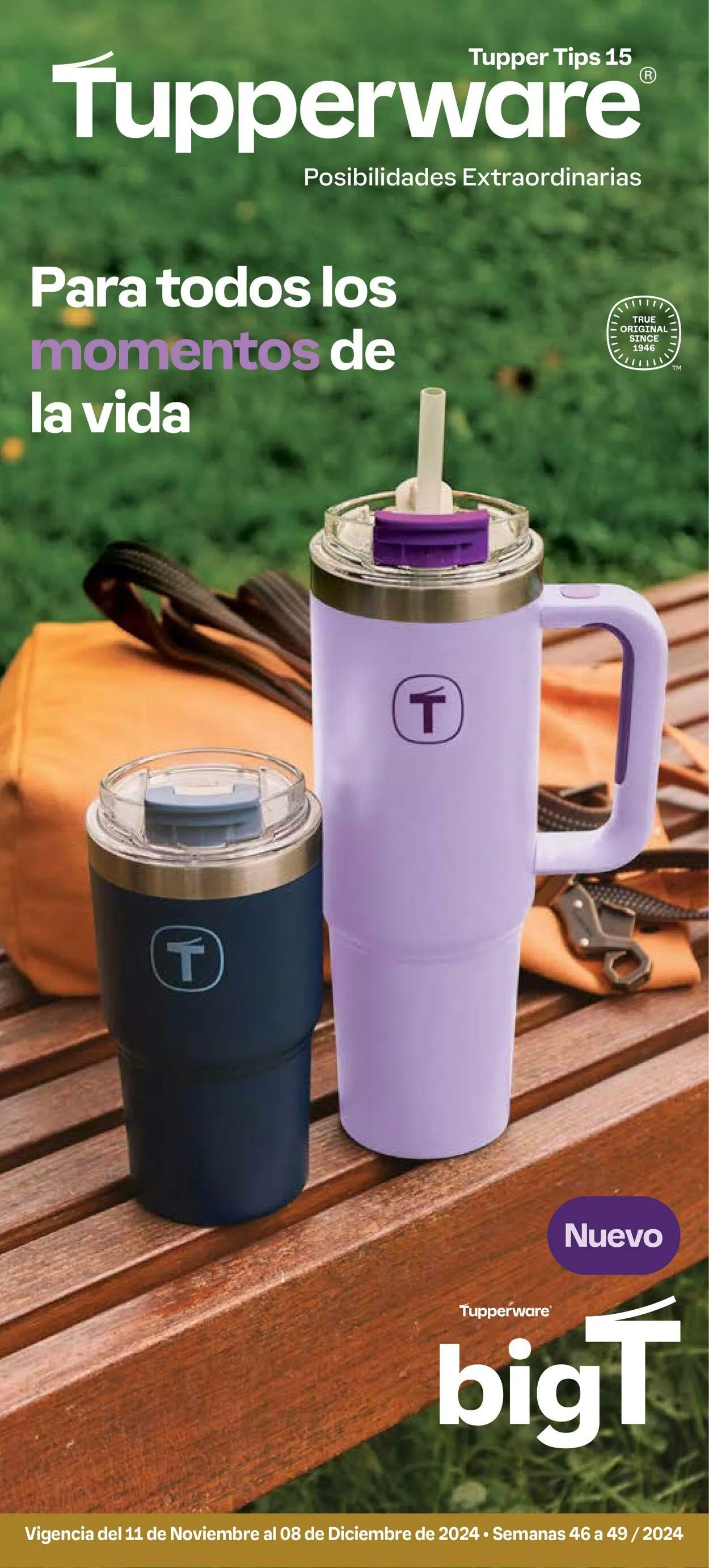 Tupperware Oferta actual - 1