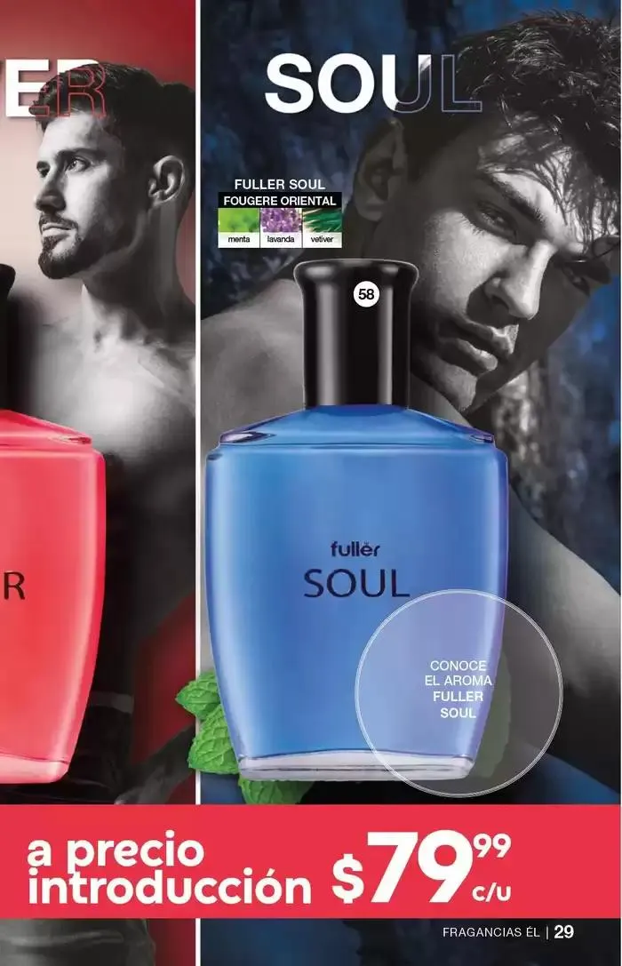 Catálogo de Fuller CAMPAÑA 21 23 de enero al 11 de febrero 2025 - Pagina 29