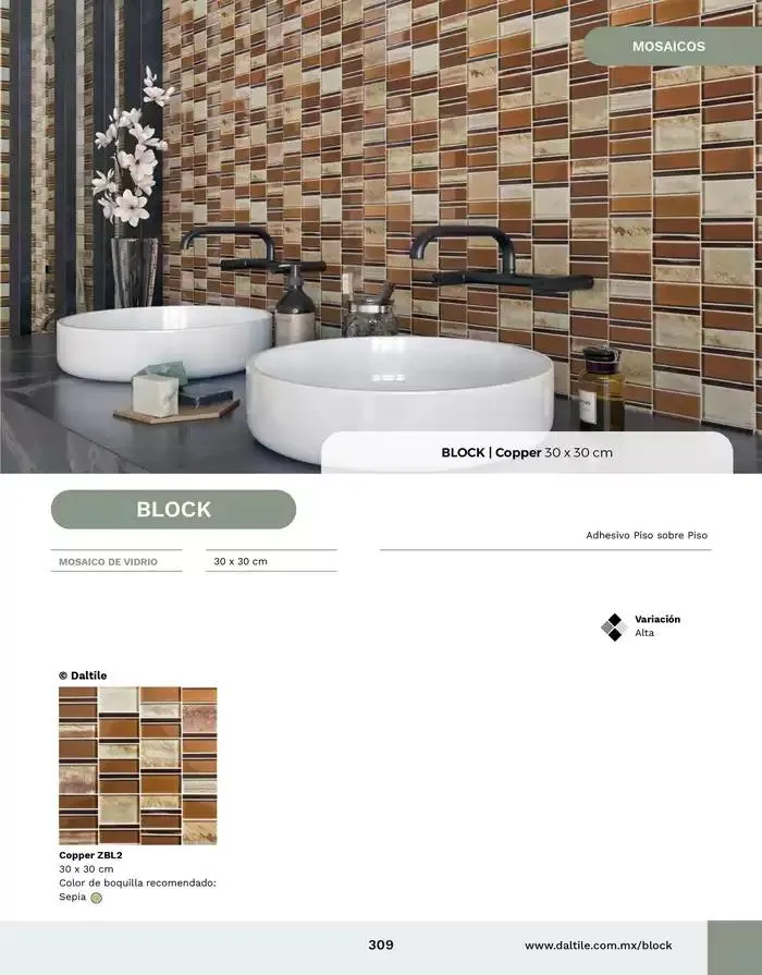 Catálogo de Catalogo 2025 10 de enero al 31 de diciembre 2025 - Pagina 309