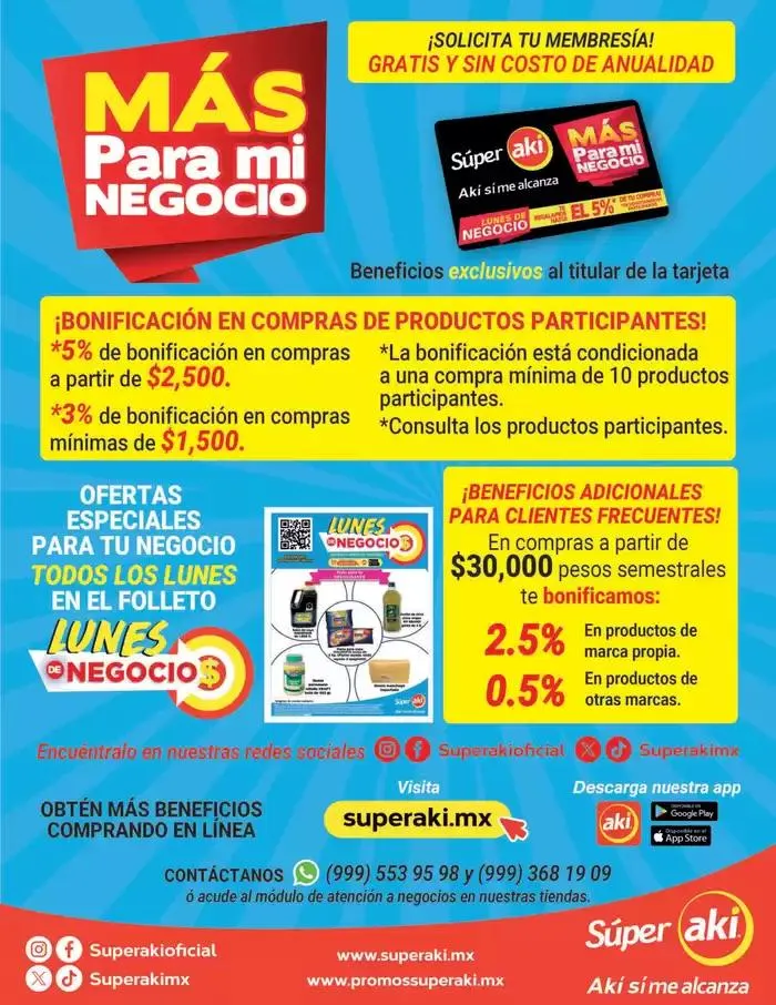 Catálogo de Lunes de negocio 31 de marzo al 31 de marzo 2025 - Pagina 9