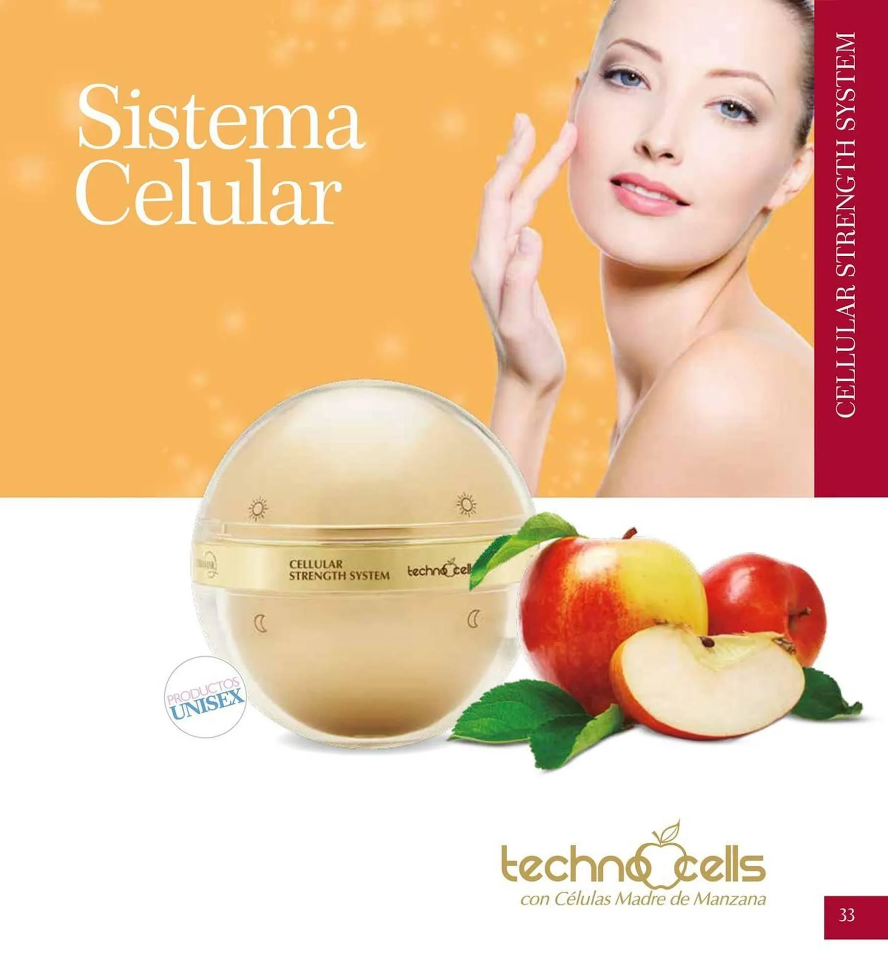 Catálogo de Catálogo Terramar Brands 5 de agosto al 31 de diciembre 2025 - Pagina 33