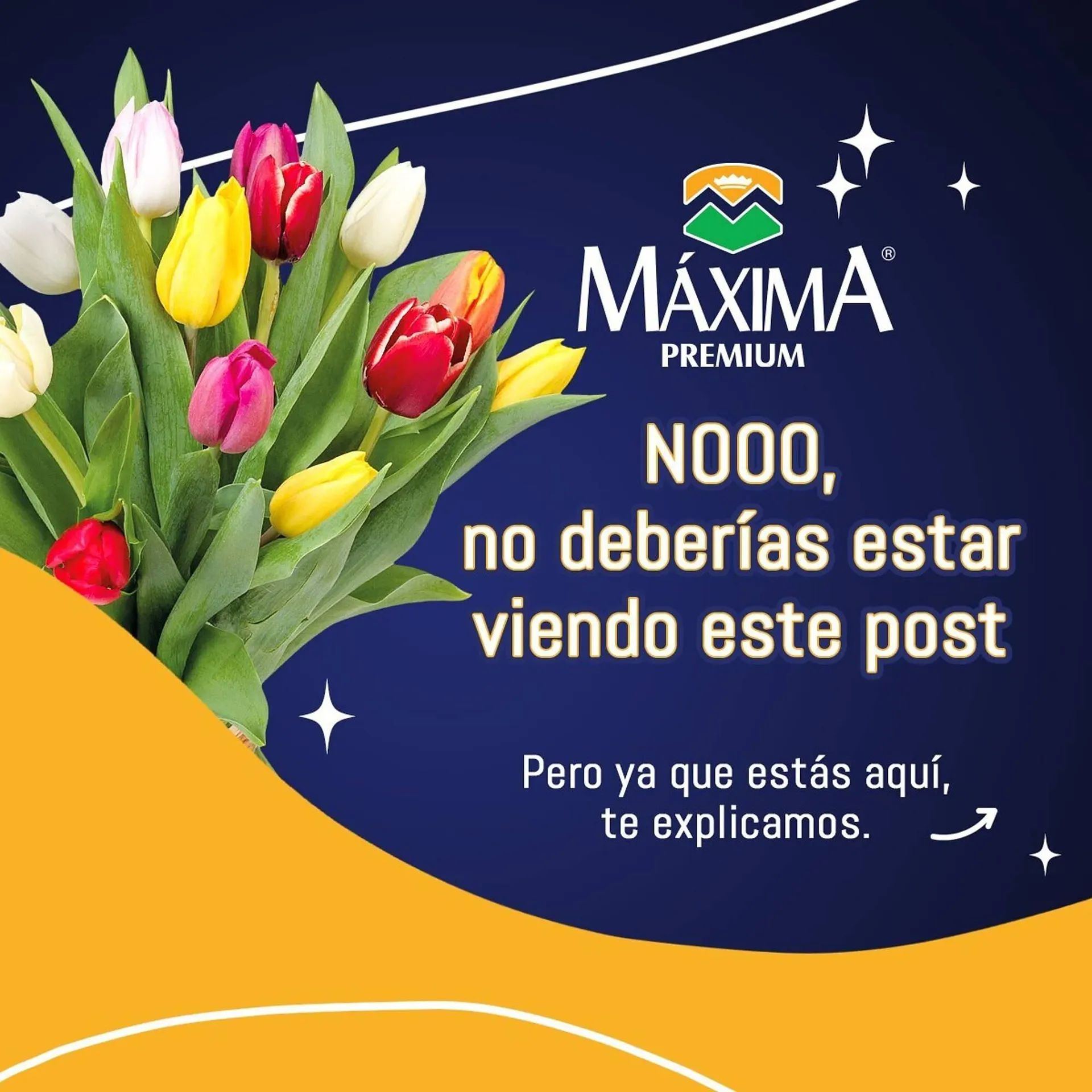 Catálogo Scorpion - 1