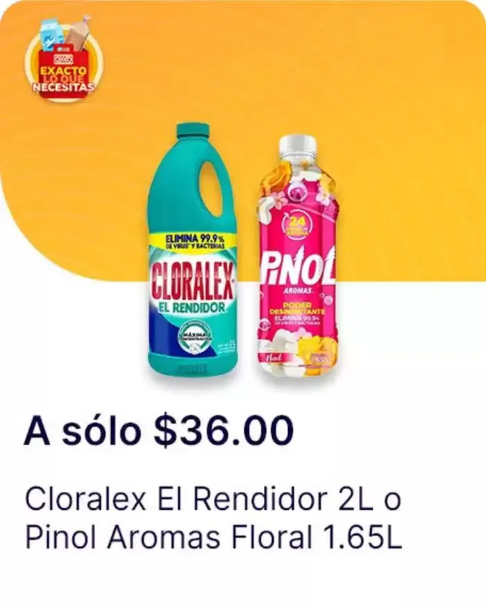 Catálogo de Exacto lo que necesitas 7 de enero al 22 de enero 2025 - Pagina 85