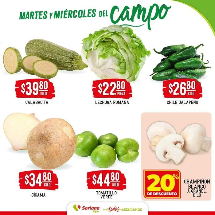 Catálogo de Martes y Miércoles del Campo Híper 30 de julio al 31 de julio 2024 - Pagina 3
