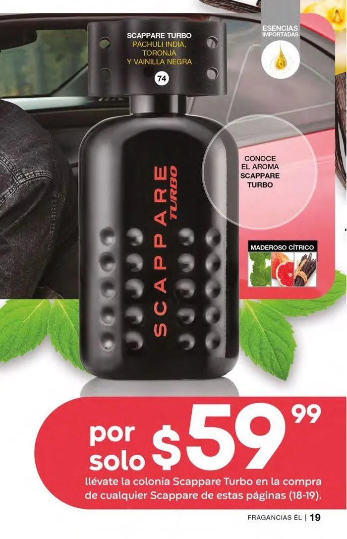 Catálogo de Fuller CAMPAÑA 09 8 de agosto al 27 de agosto 2024 - Pagina 91