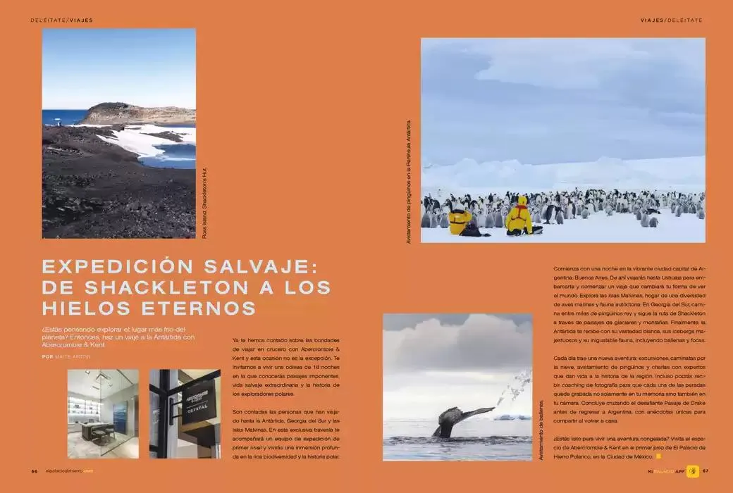 Catálogo de Ahorra ahora con nuestras ofertas 1 de abril al 31 de diciembre 2025 - Pagina 35