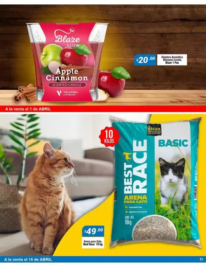 Catálogo de Volante Temporal Marzo 1 de abril al 30 de abril 2025 - Pagina 10