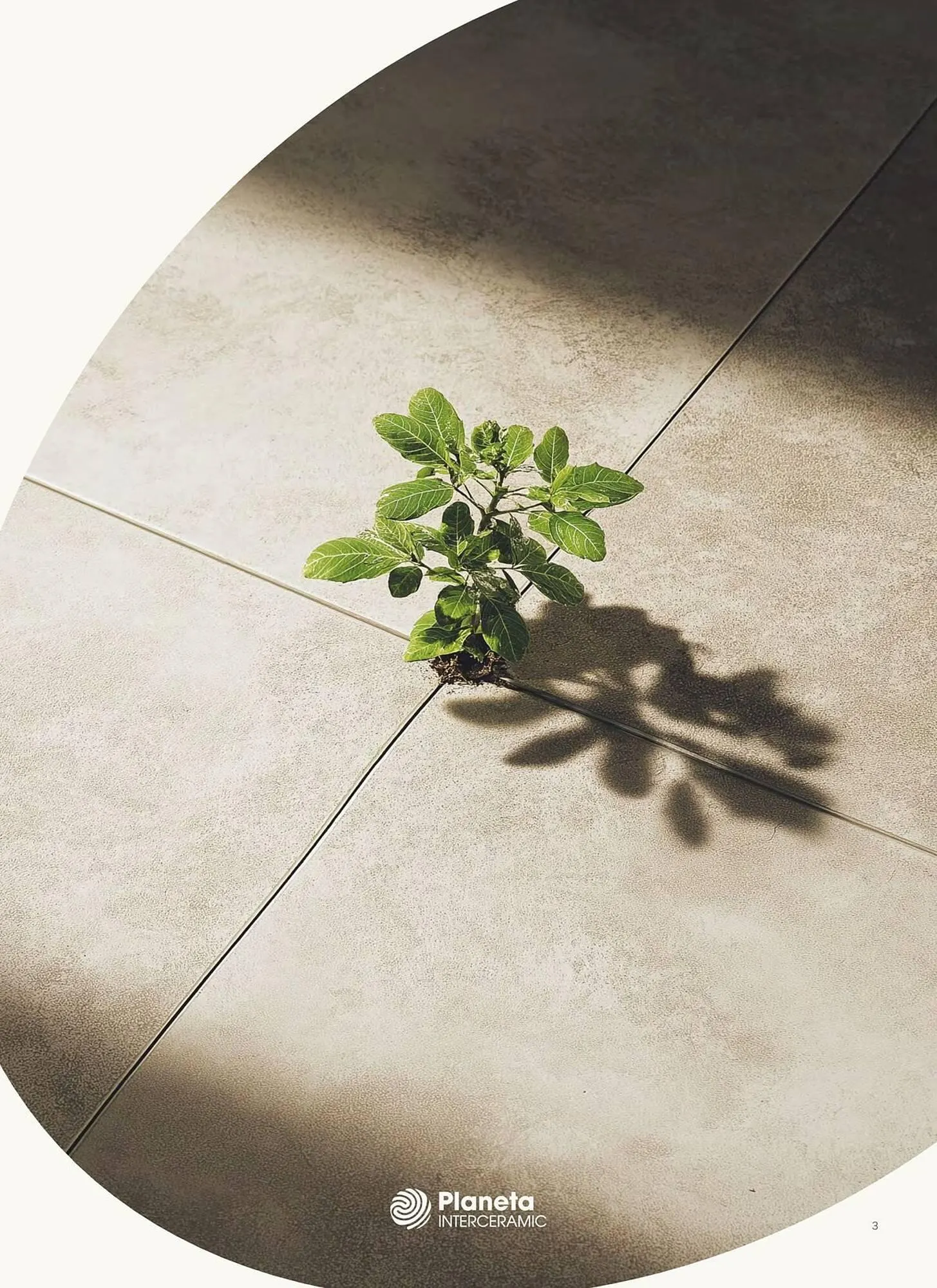 Catálogo de Catálogo Interceramic 3 de octubre al 3 de octubre 2026 - Pagina 5