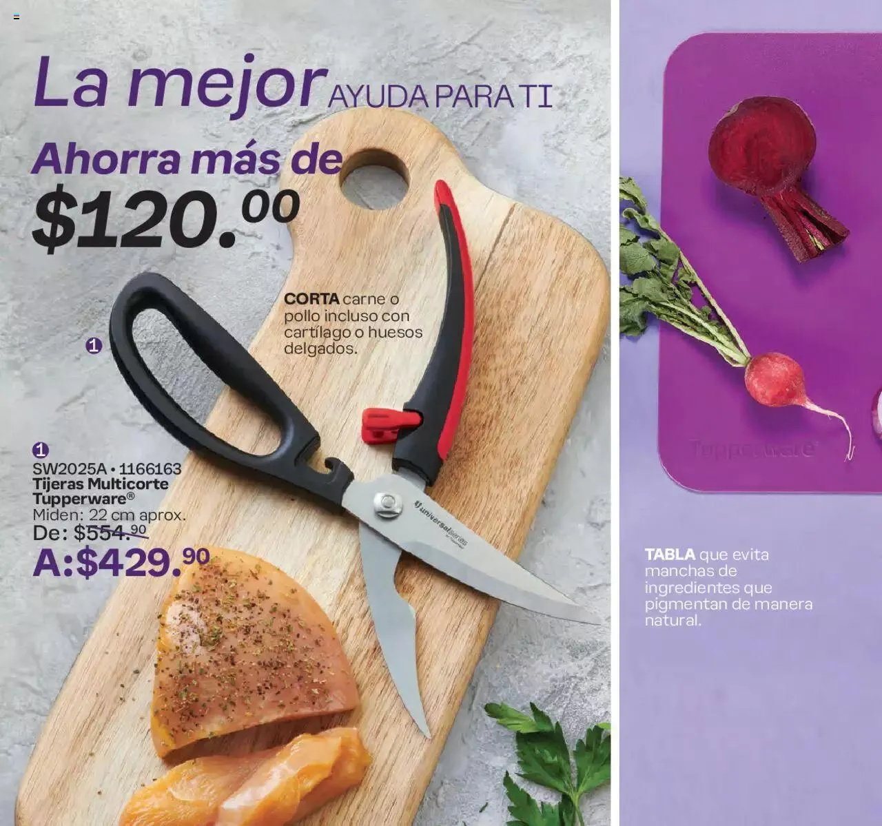 Catálogo de Tupperware catálogo 1 de enero al 21 de enero 2024 - Pagina 128