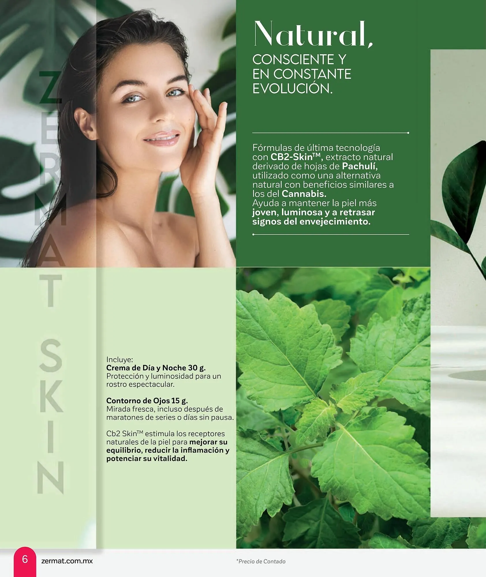 Catálogo de Catálogo Zermat 1 de febrero al 28 de febrero 2026 - Pagina 6