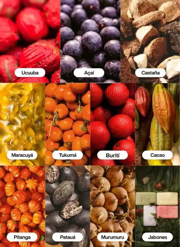 Catálogo de Revista Natura Ciclo 9 2025 1 de septiembre al 30 de septiembre 2025 - Pagina 125