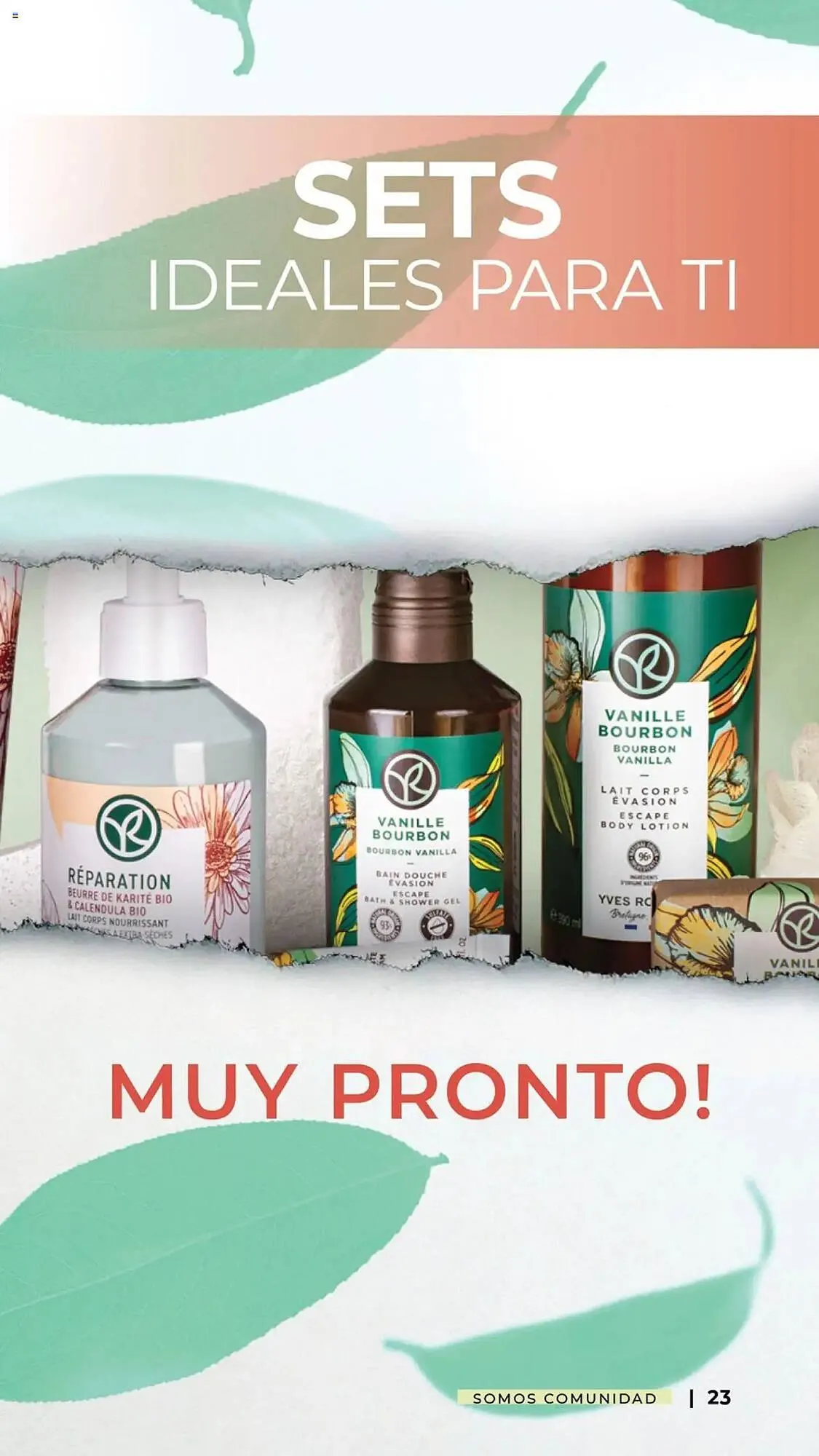 Catálogo de Catálogo Yves Rocher 31 de diciembre al 10 de febrero 2025 - Pagina 23