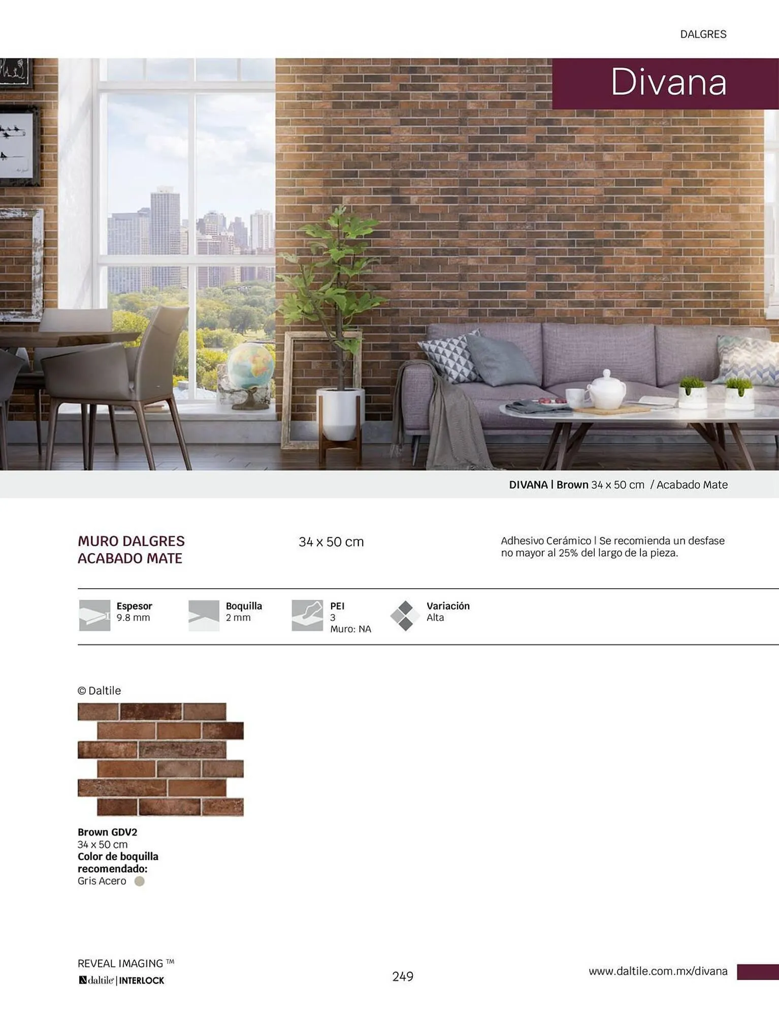 Catálogo de Catálogo Daltile 1 de enero al 31 de diciembre 2024 - Pagina 249
