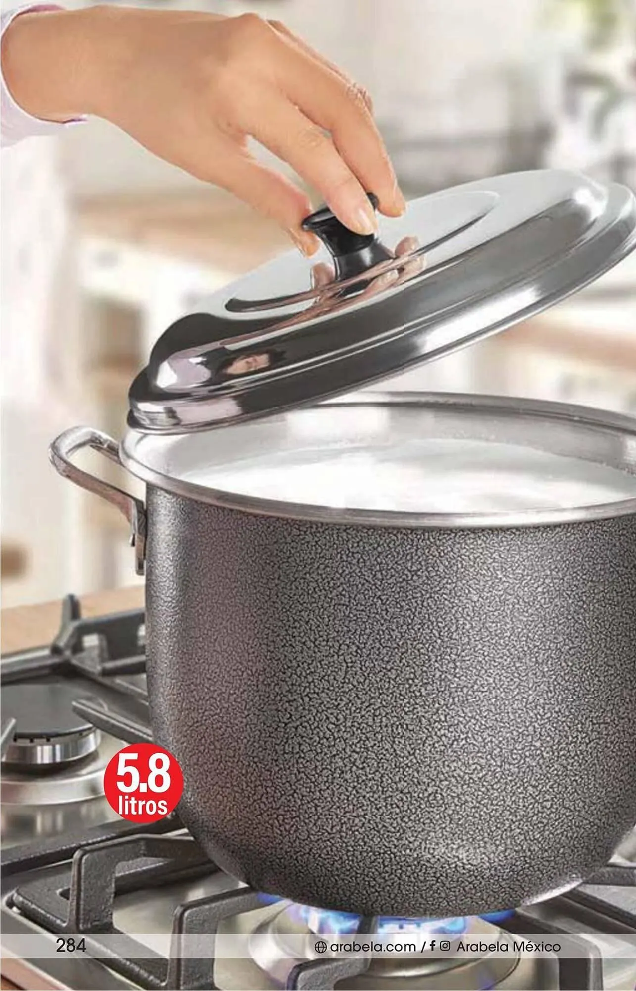 Catálogo de Catálogo Arabela 15 de enero al 5 de febrero 2026 - Pagina 252