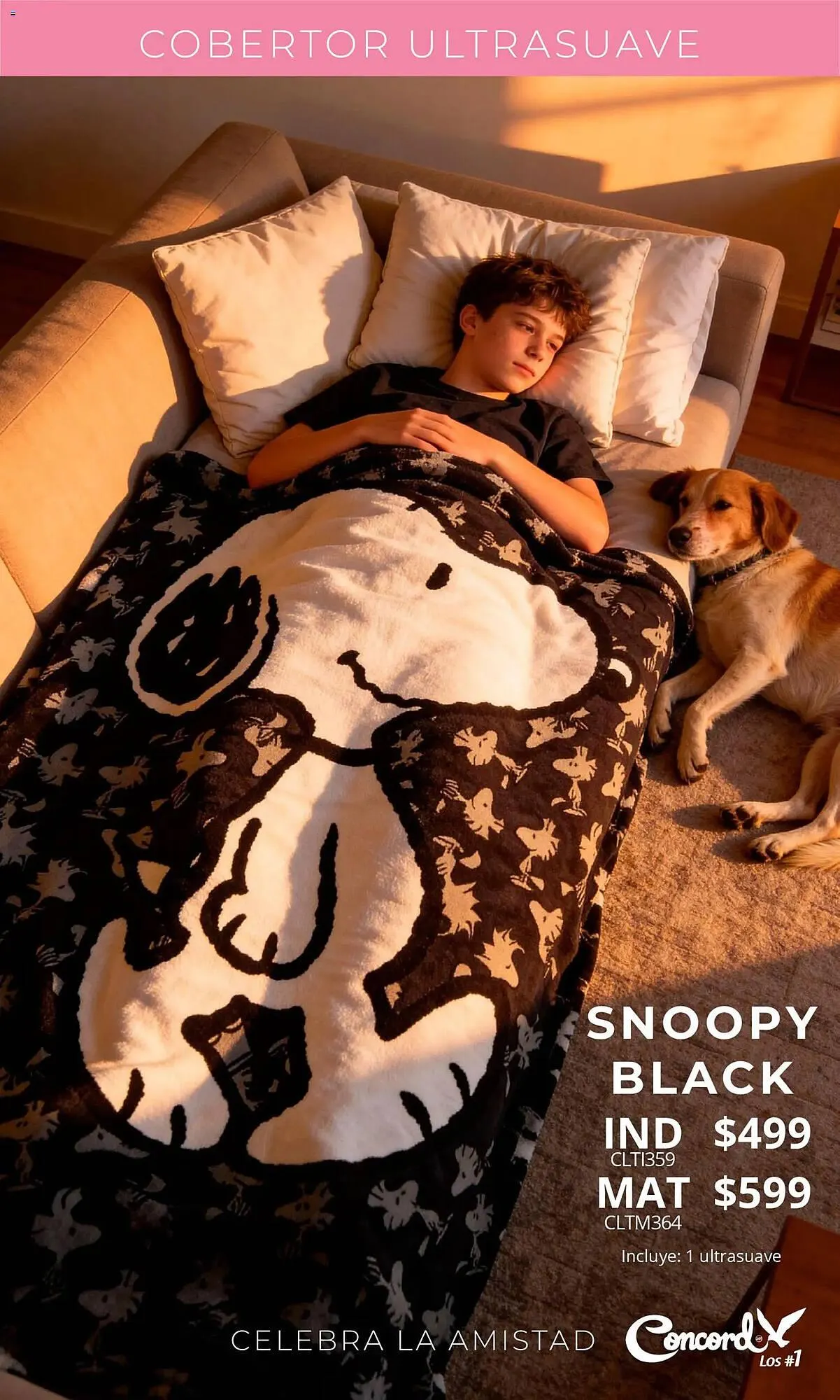 Catálogo de Catálogo Colchas Concord 1 de febrero al 21 de febrero 2026 - Pagina 30