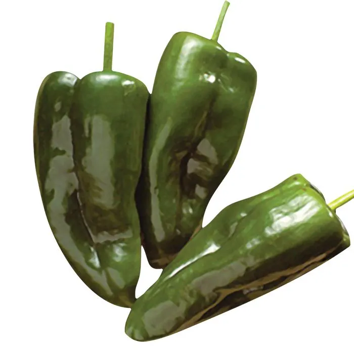 CHILE POBLANO