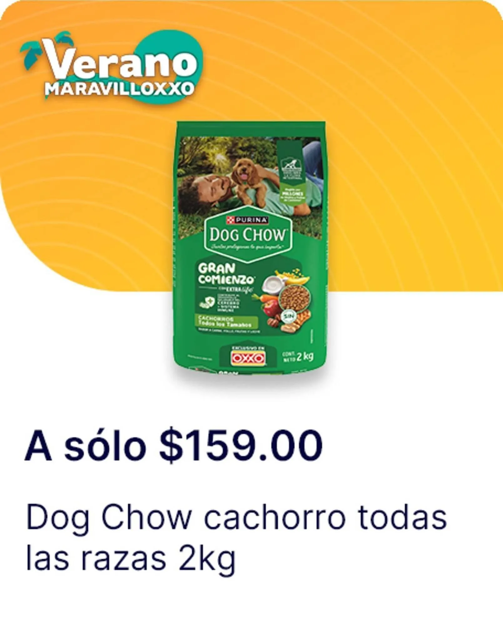 Catálogo de Catálogo OXXO 13 de agosto al 20 de agosto 2025 - Pagina 78