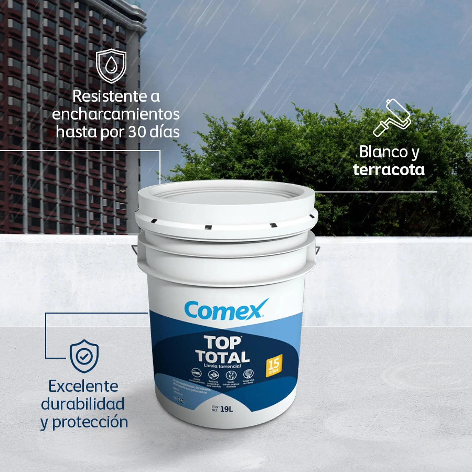 Catálogo de Catálogo Comex 1 de agosto al 1 de agosto 2025 - Pagina 2