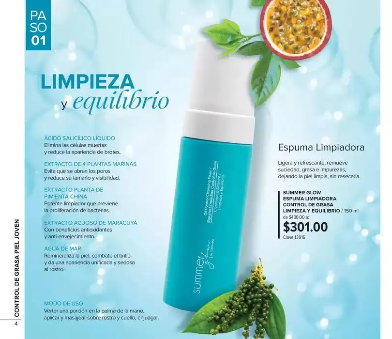 Catálogo de Folleto de mes 3 de octubre al 31 de octubre 2024 - Pagina 4