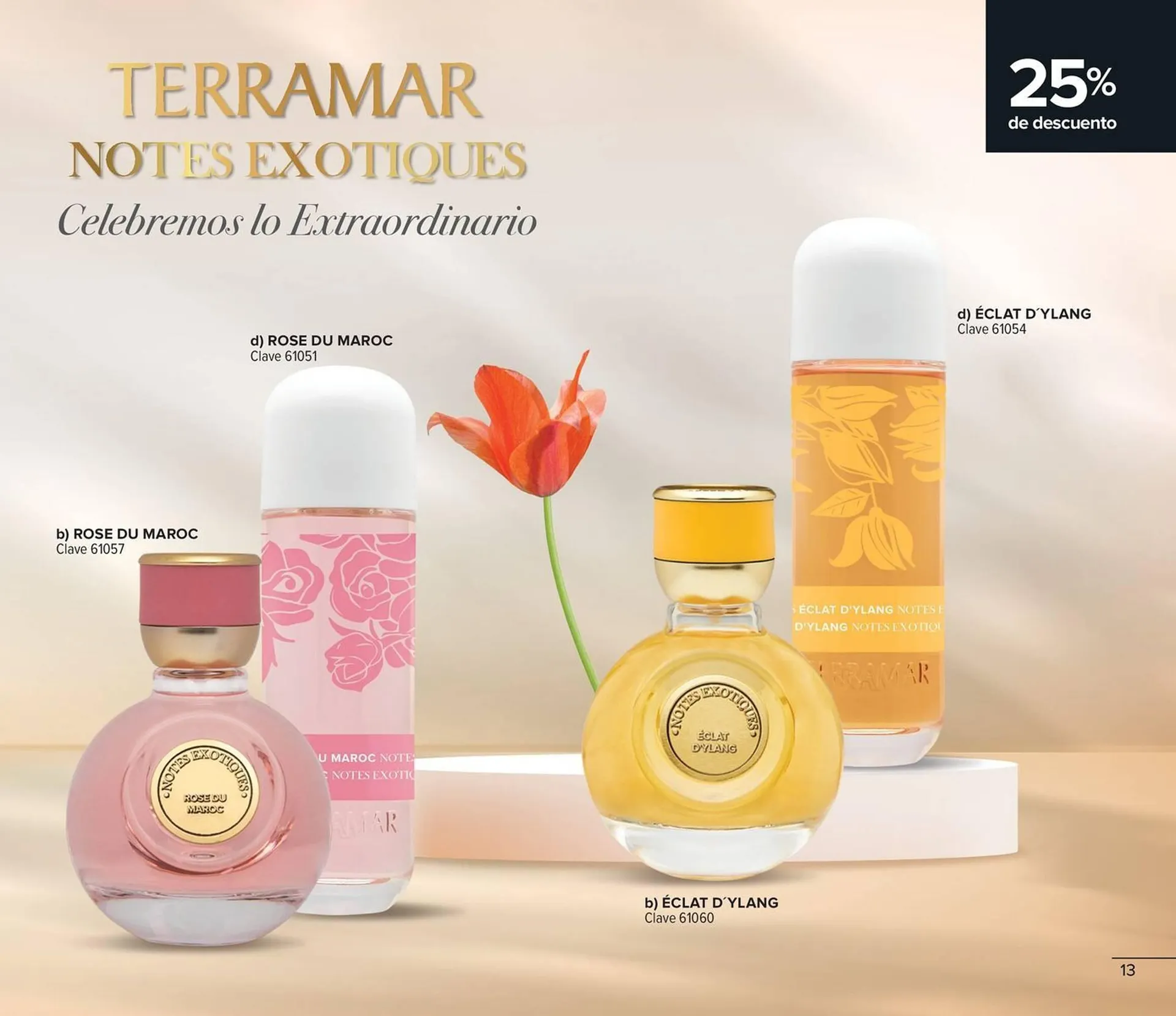 Catálogo de Catálogo Terramar Brands 1 de abril al 30 de abril 2026 - Pagina 13