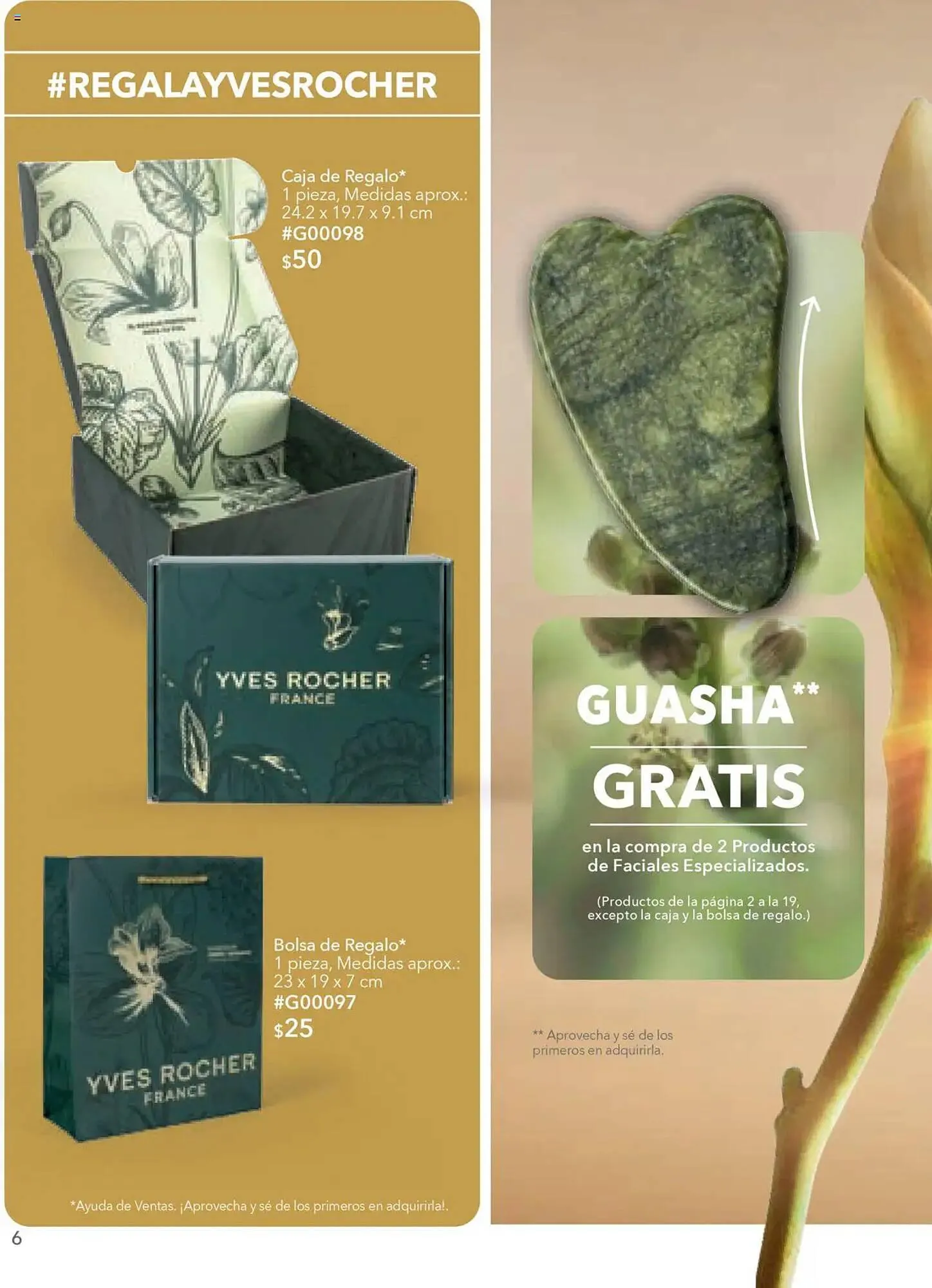 Catálogo de Catálogo Yves Rocher 18 de septiembre al 7 de octubre 2025 - Pagina 6