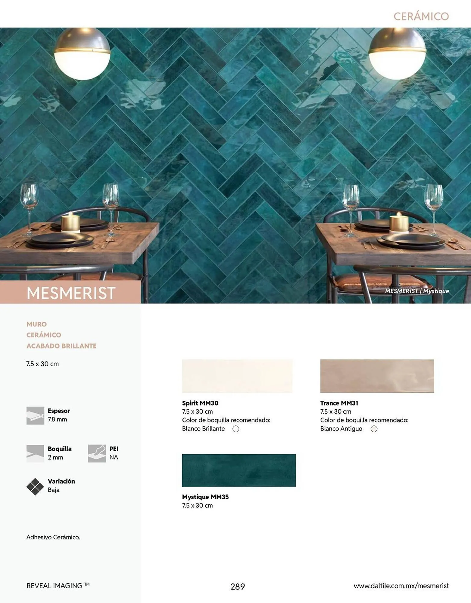 Catálogo de Catálogo Daltile 13 de enero al 31 de diciembre 2026 - Pagina 289