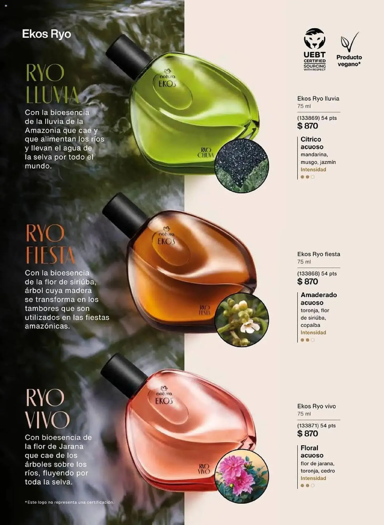 Catálogo de Catálogo Natura 20 de diciembre al 23 de enero 2026 - Pagina 31