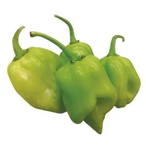 CHILE HABANERO