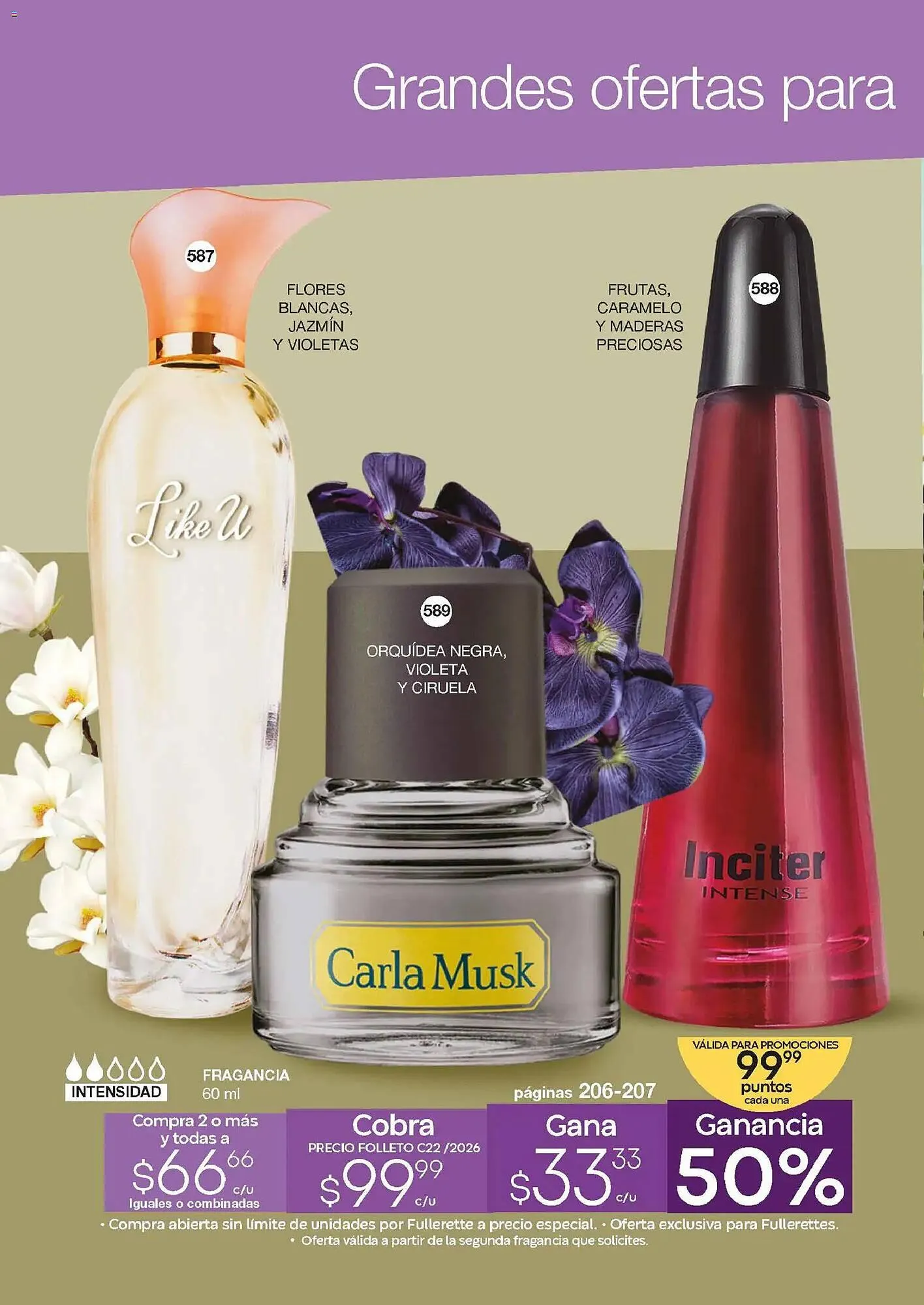 Catálogo de Catálogo Fuller 4 de febrero al 25 de febrero 2026 - Pagina 30