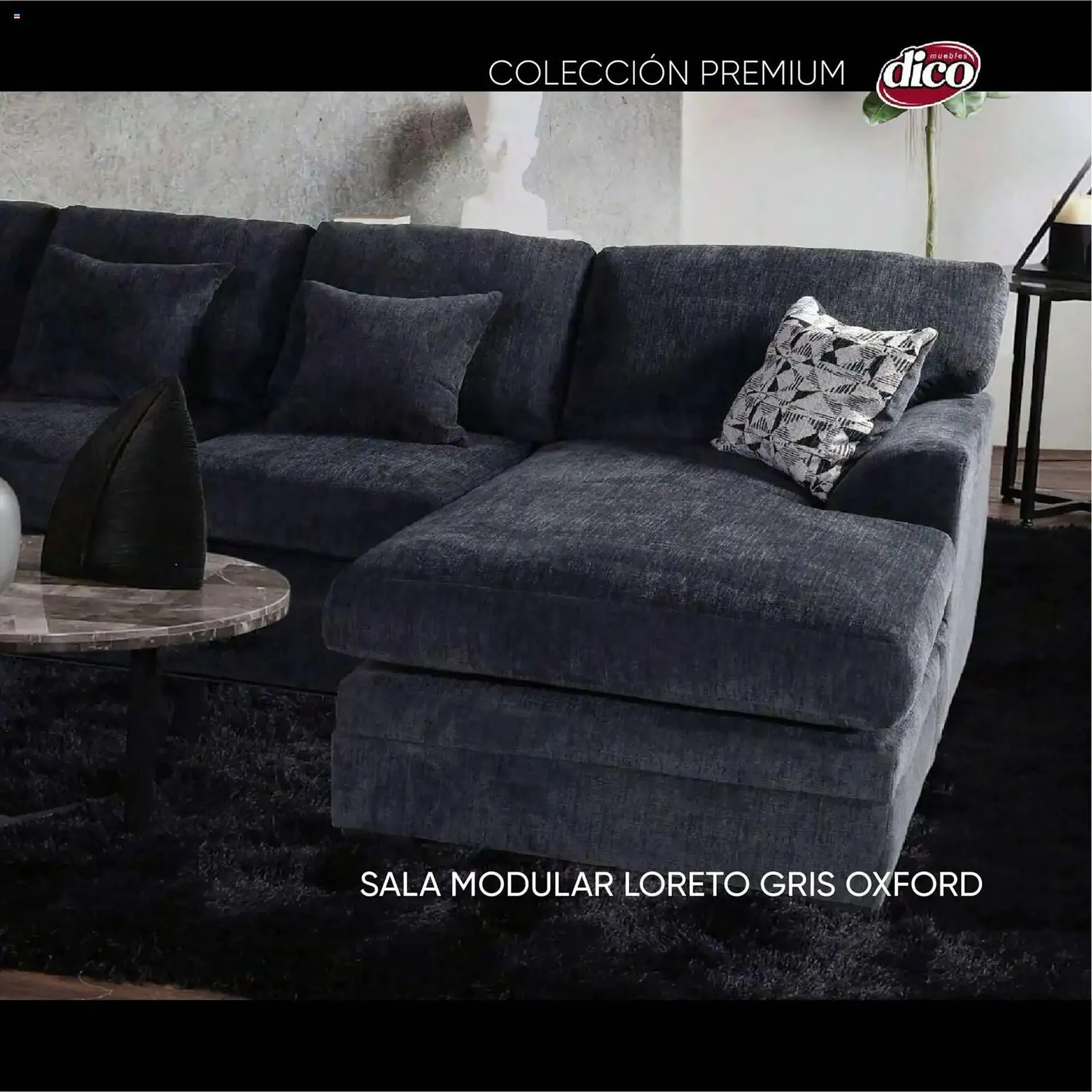 Catálogo de Catálogo Muebles Dico 27 de octubre al 1 de febrero 2026 - Pagina 29