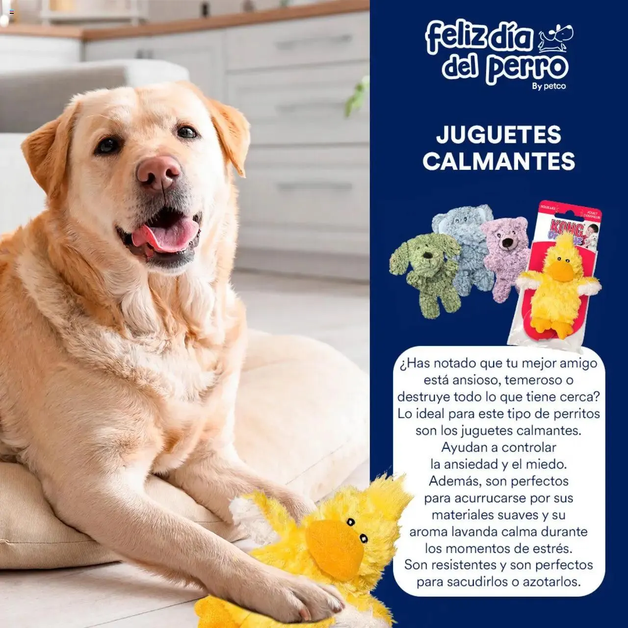 Catálogo de PetCo catálogo 7 de julio al 31 de diciembre 2024 - Pagina 4